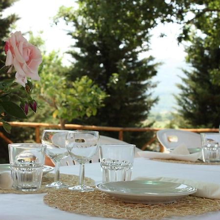 فيلا فيتشوفي Agriturismo La Colombaia المظهر الخارجي الصورة