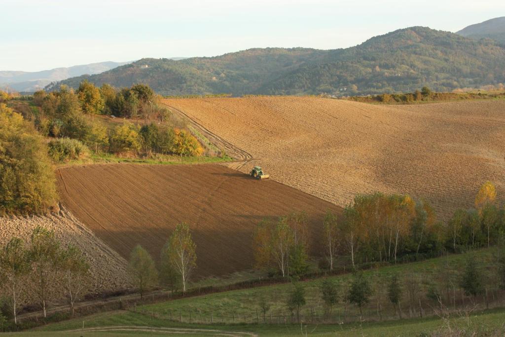 فيلا فيتشوفي Agriturismo La Colombaia المظهر الخارجي الصورة
