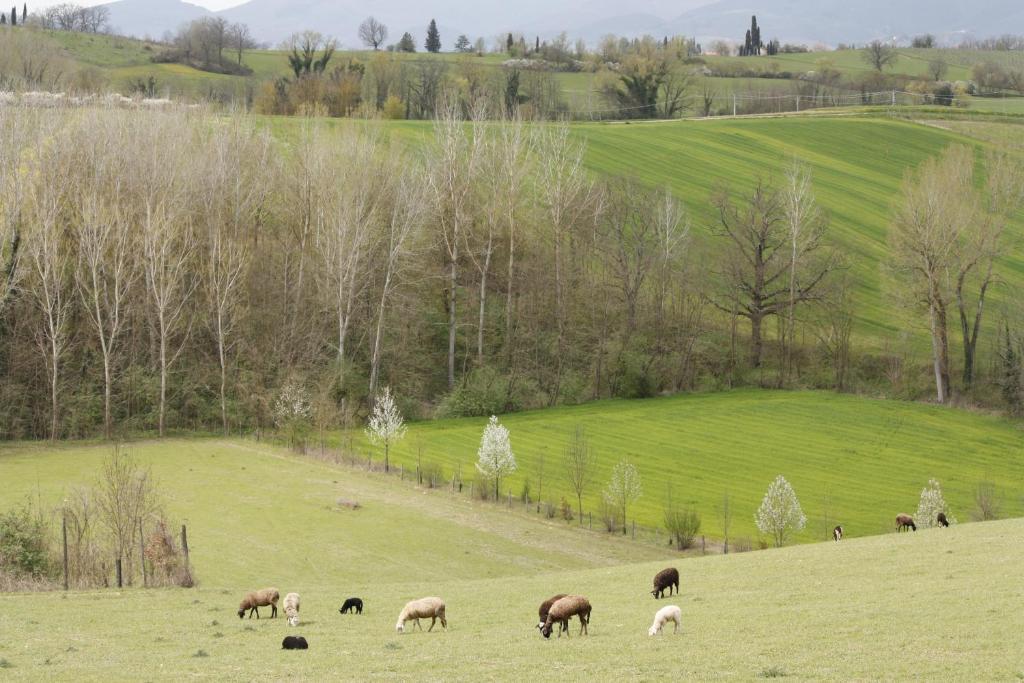 فيلا فيتشوفي Agriturismo La Colombaia المظهر الخارجي الصورة
